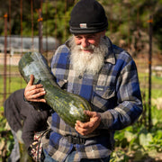 Pumpkin 'Bev's Gramma Trombone' (Organic)