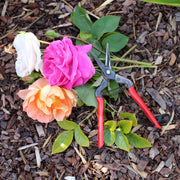 Quality Pruning Snips