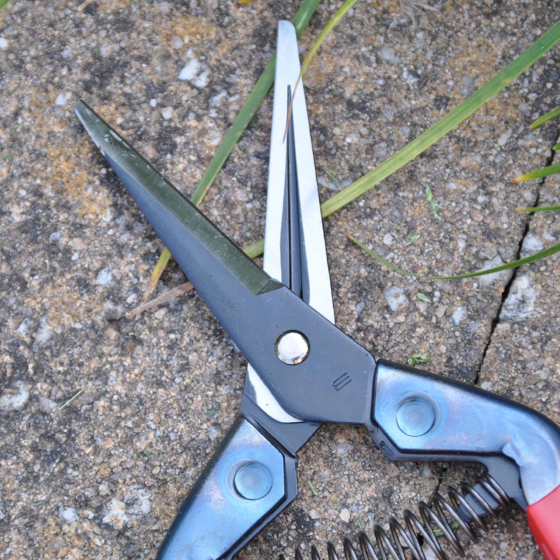Quality Pruning Snips - The Diggers Club