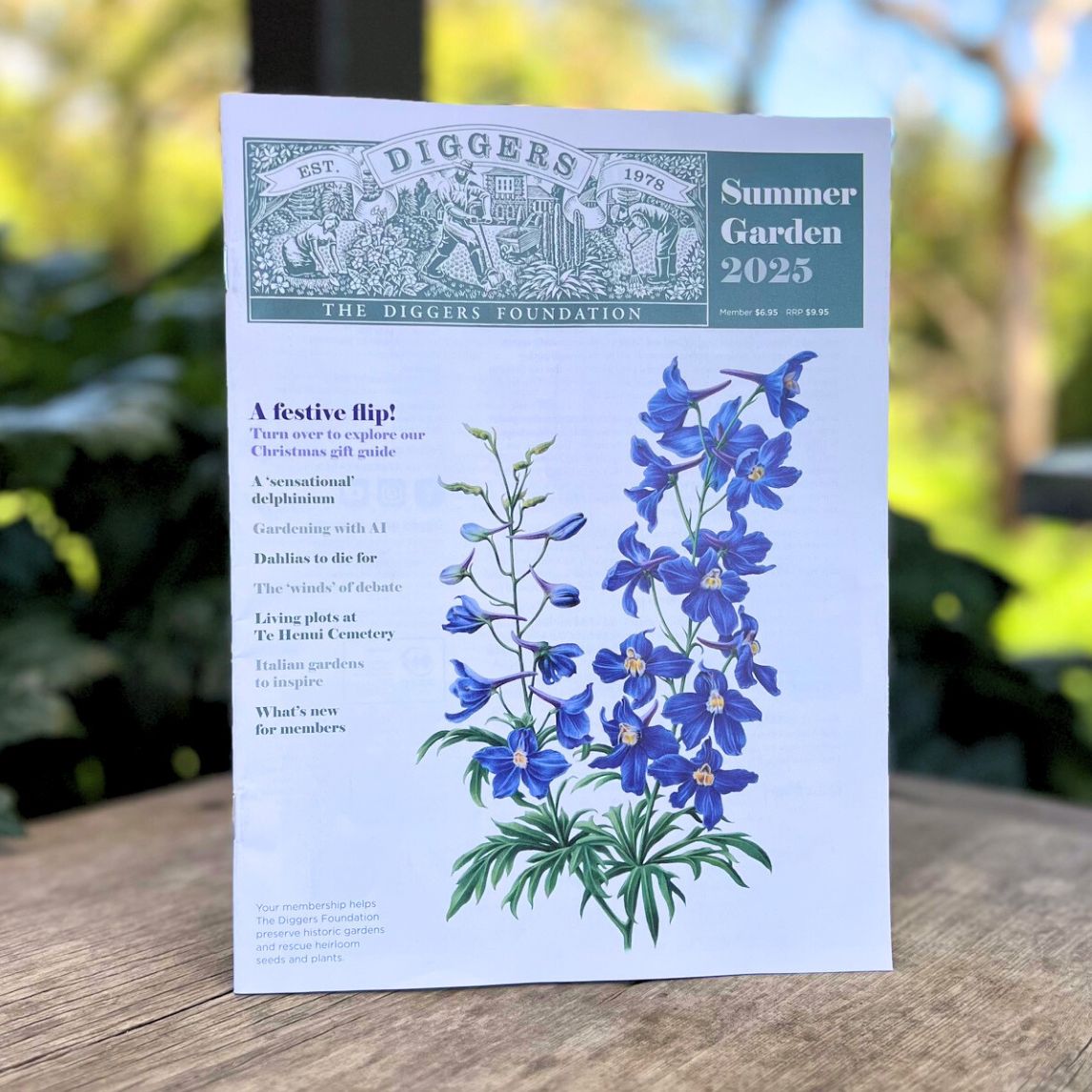 Diggers Summer Magazine 2025