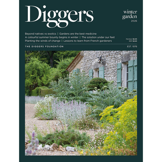 Diggers Winter Magazine 2026