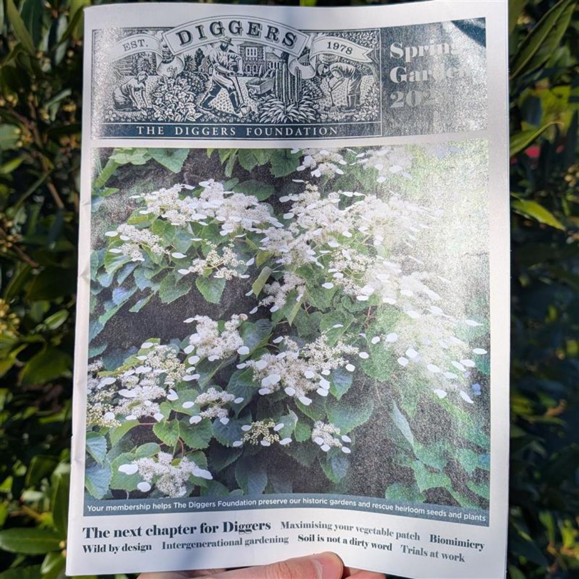 Spring Magazine 2025