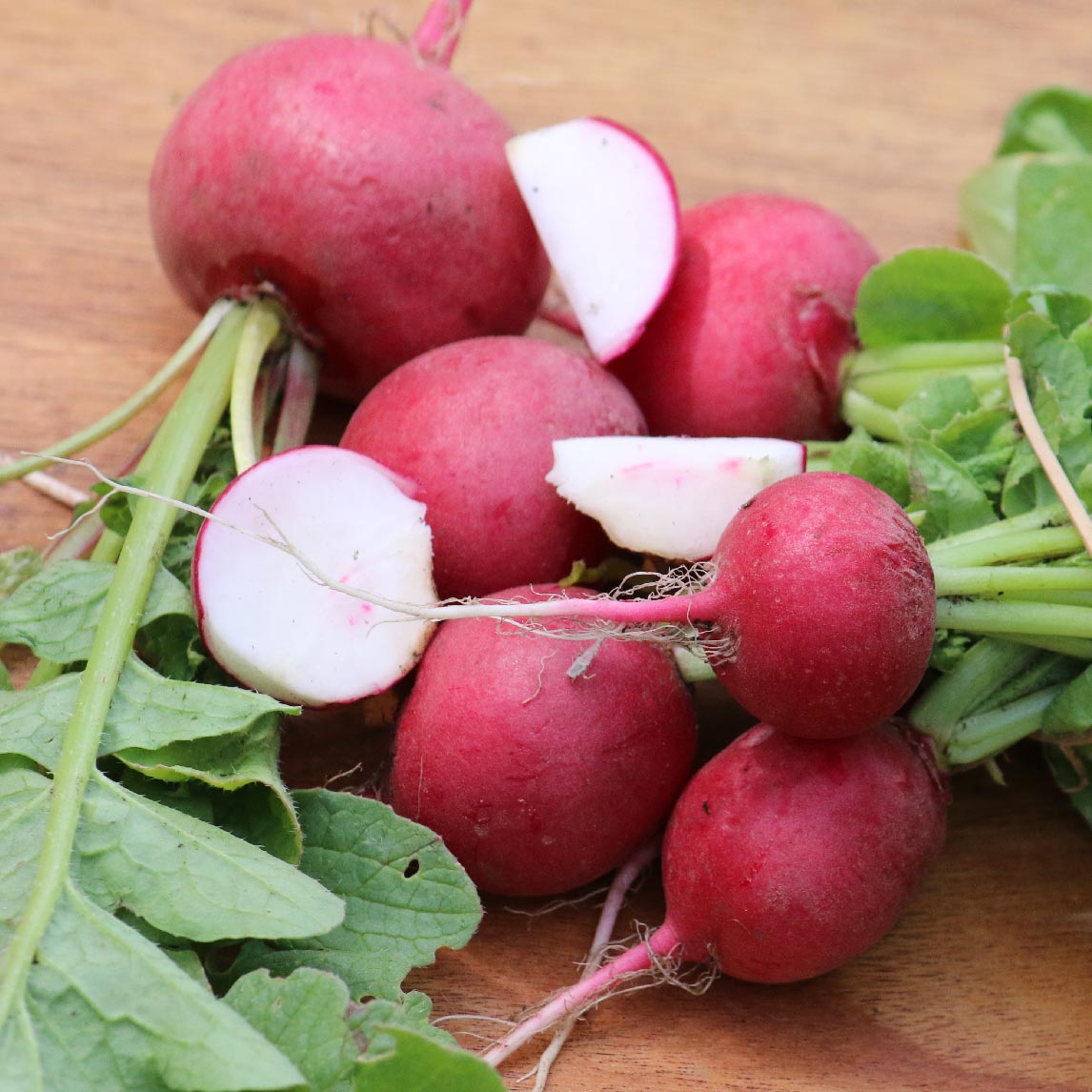 Radish 'Round Red' (Organic)