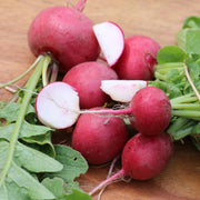 Radish 'Round Red' (Organic)