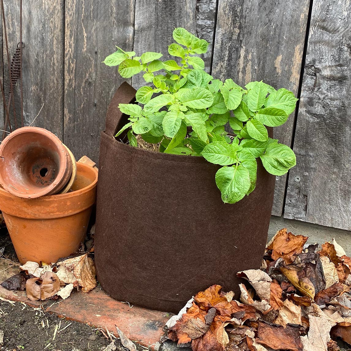 Root Pouch Grow Bag 30L The Diggers Club