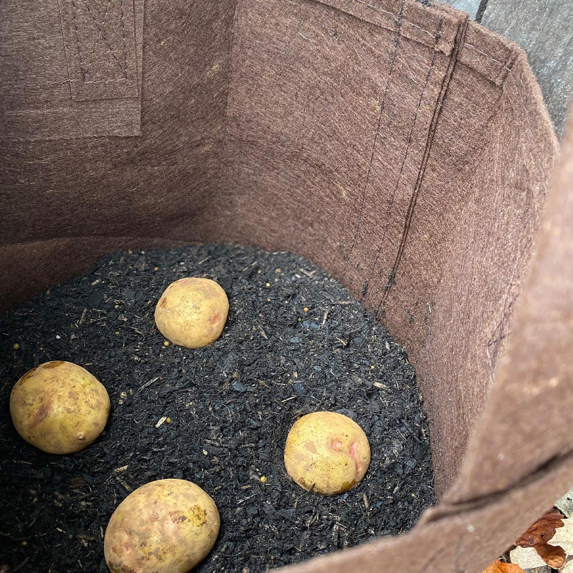 Root Pouch Grow Bag - 30L