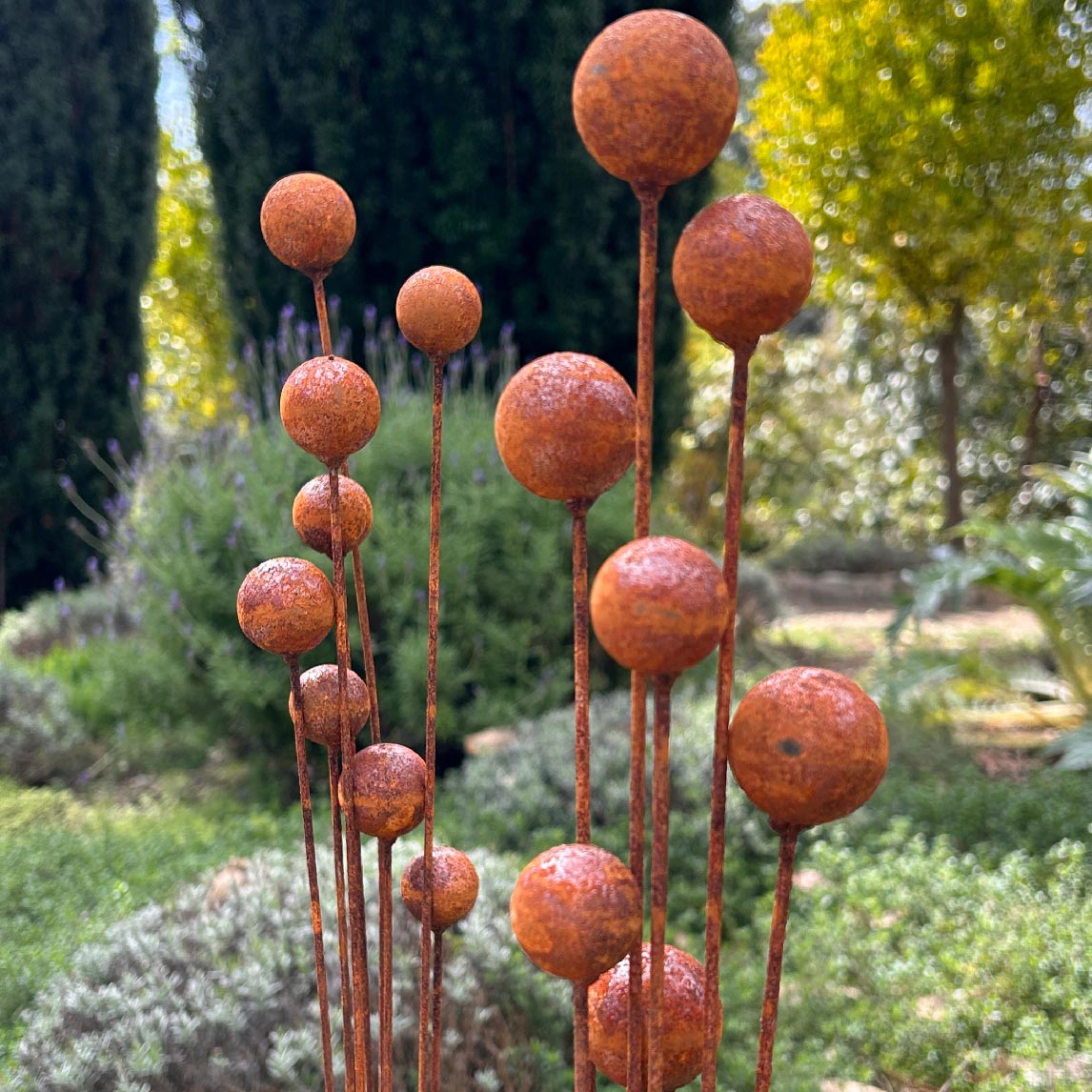 Billy Buttons - Rust Stake