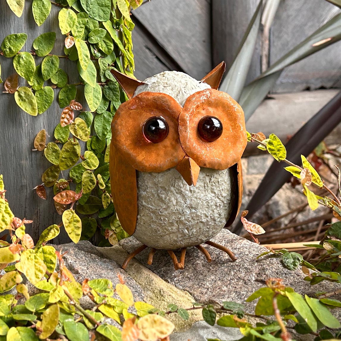 Round Owl