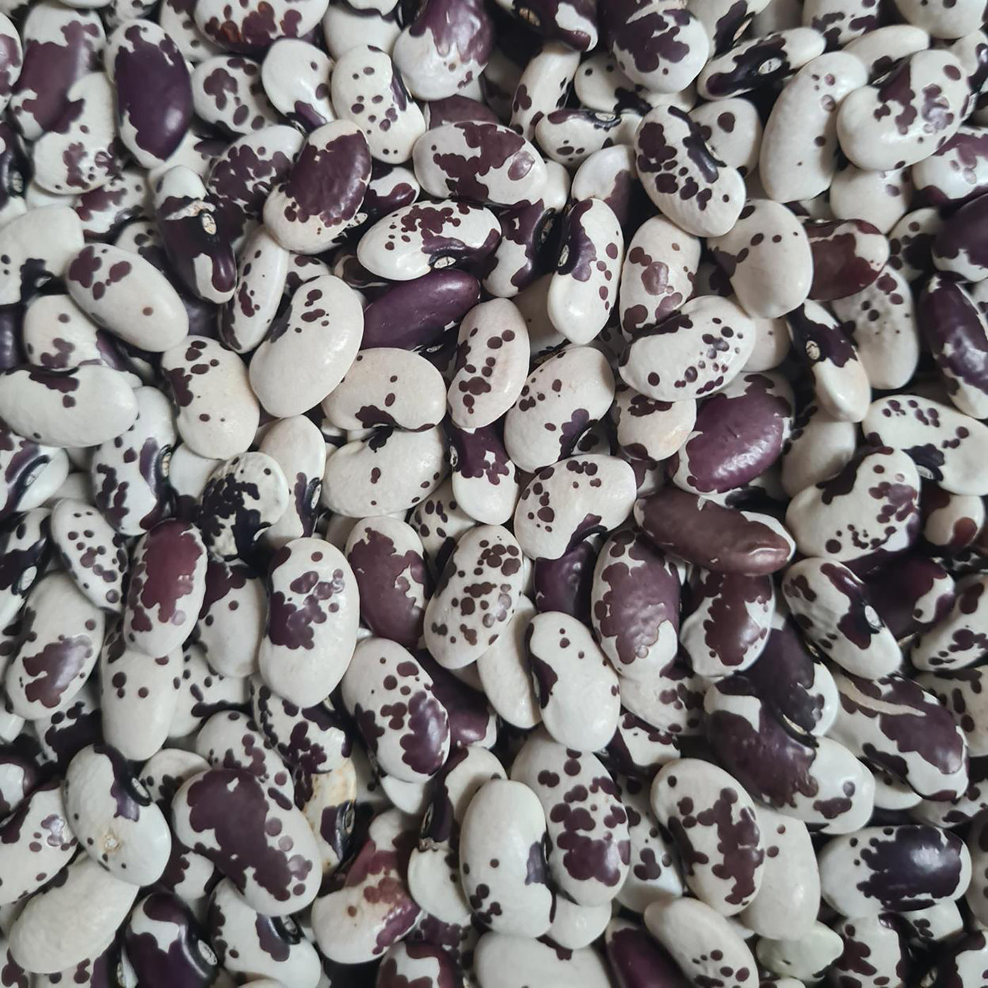 Bean '1500 Year Old Cave'