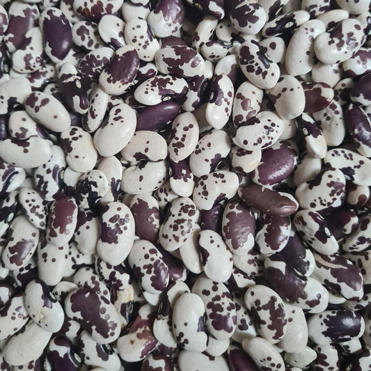 Bean '1500 Year Old Cave'