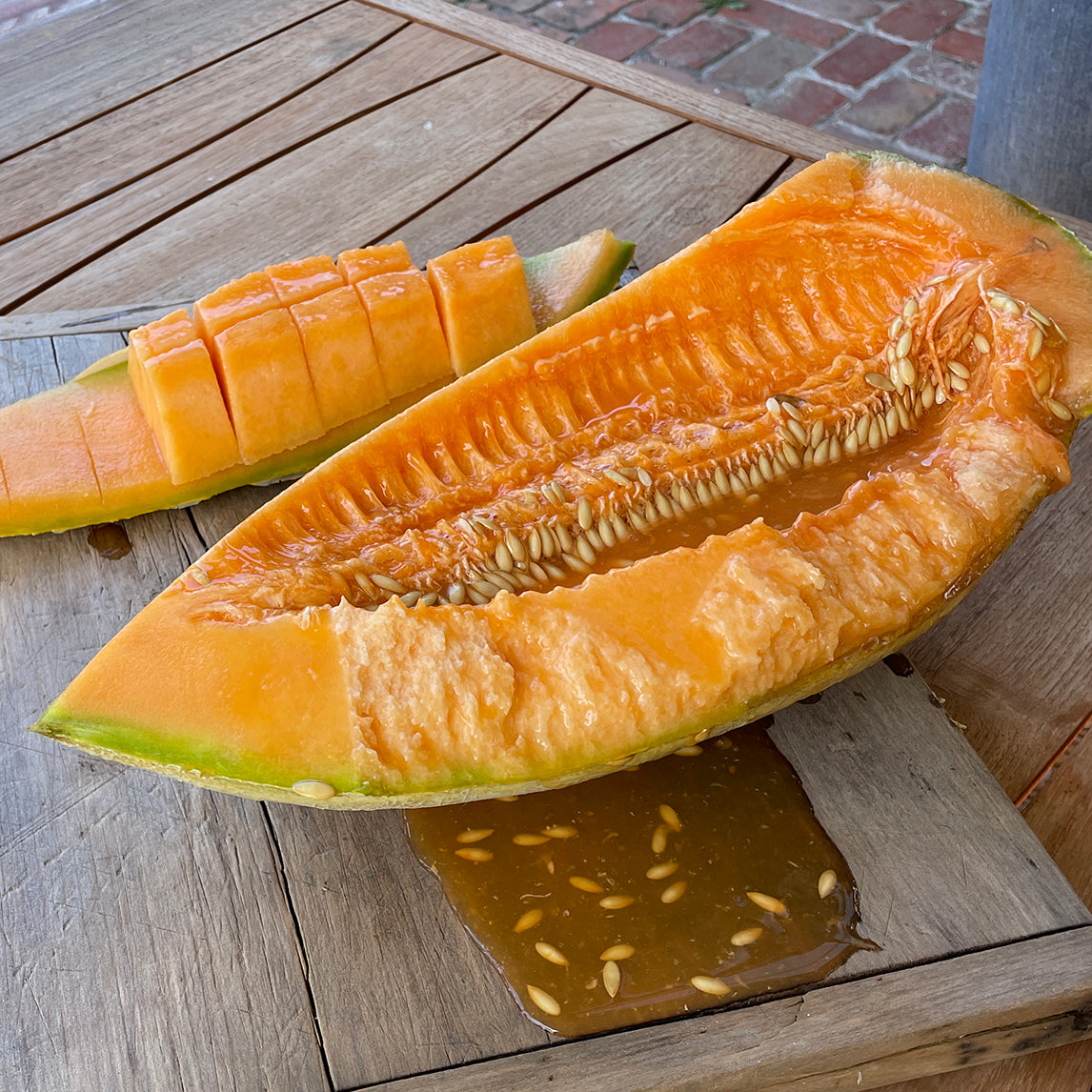Rockmelon 'Butko'