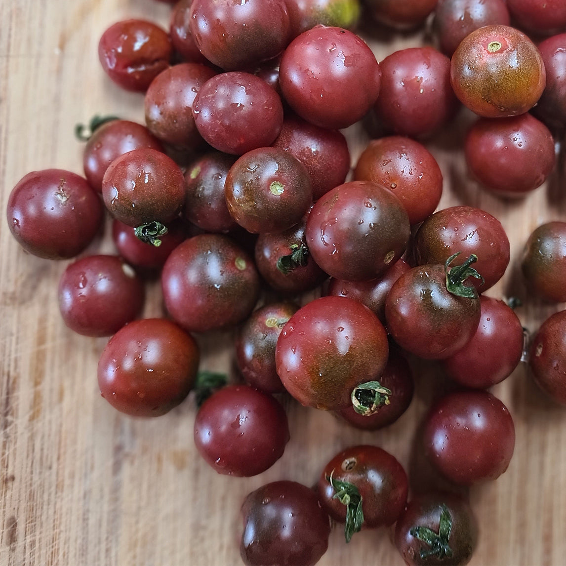 Tomato 'Rosella' (Organic)