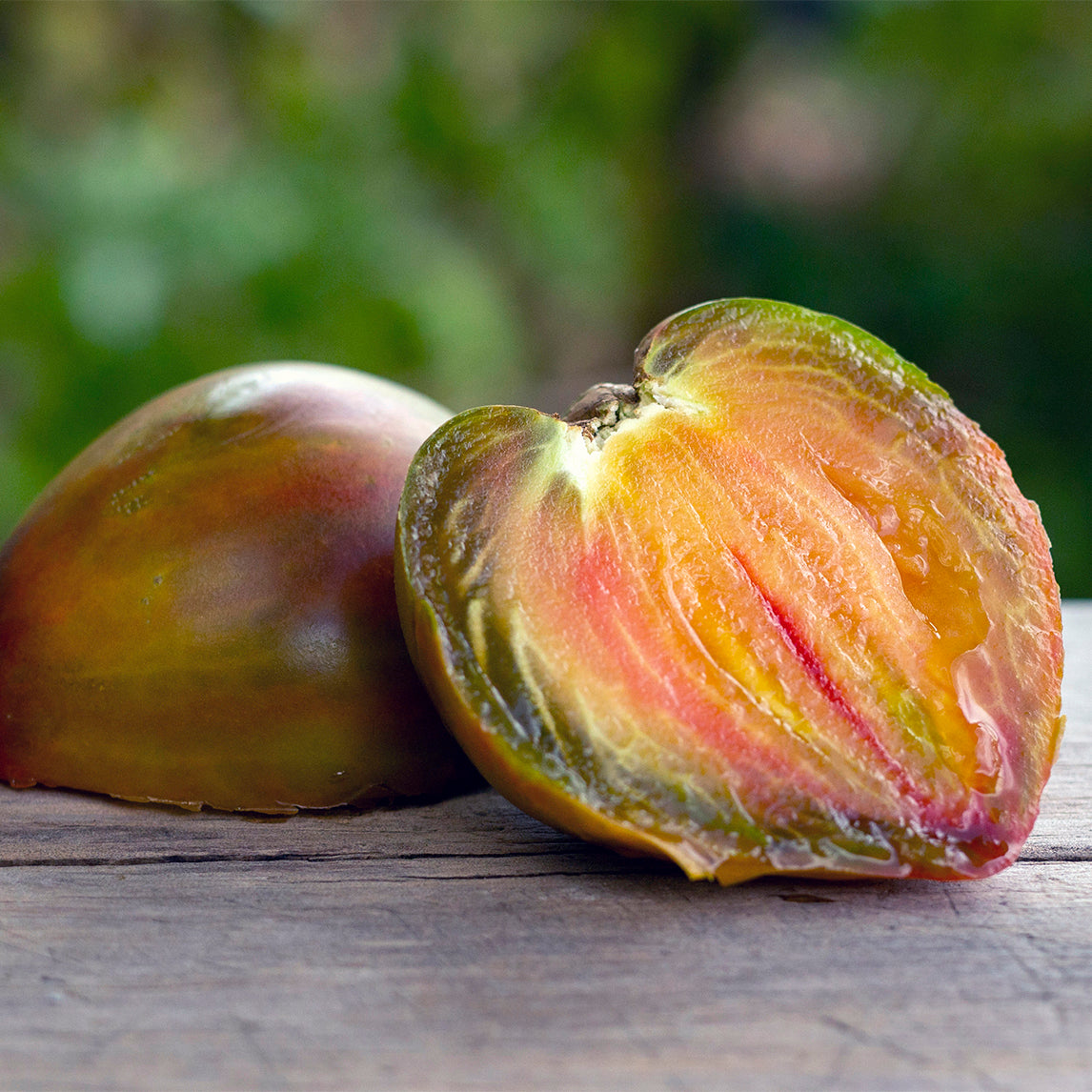 Tomato 'True Colours'