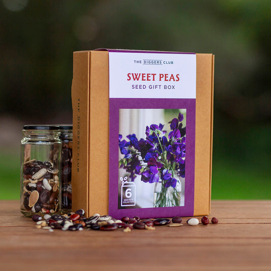 Sweet Pea Gift Box