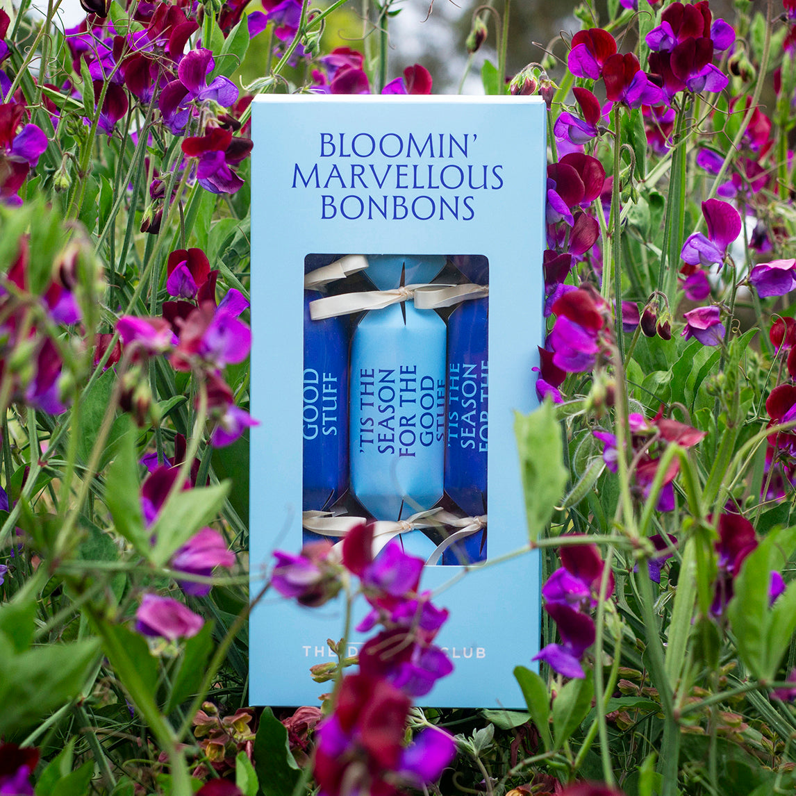 Seed Bonbon pack of 6