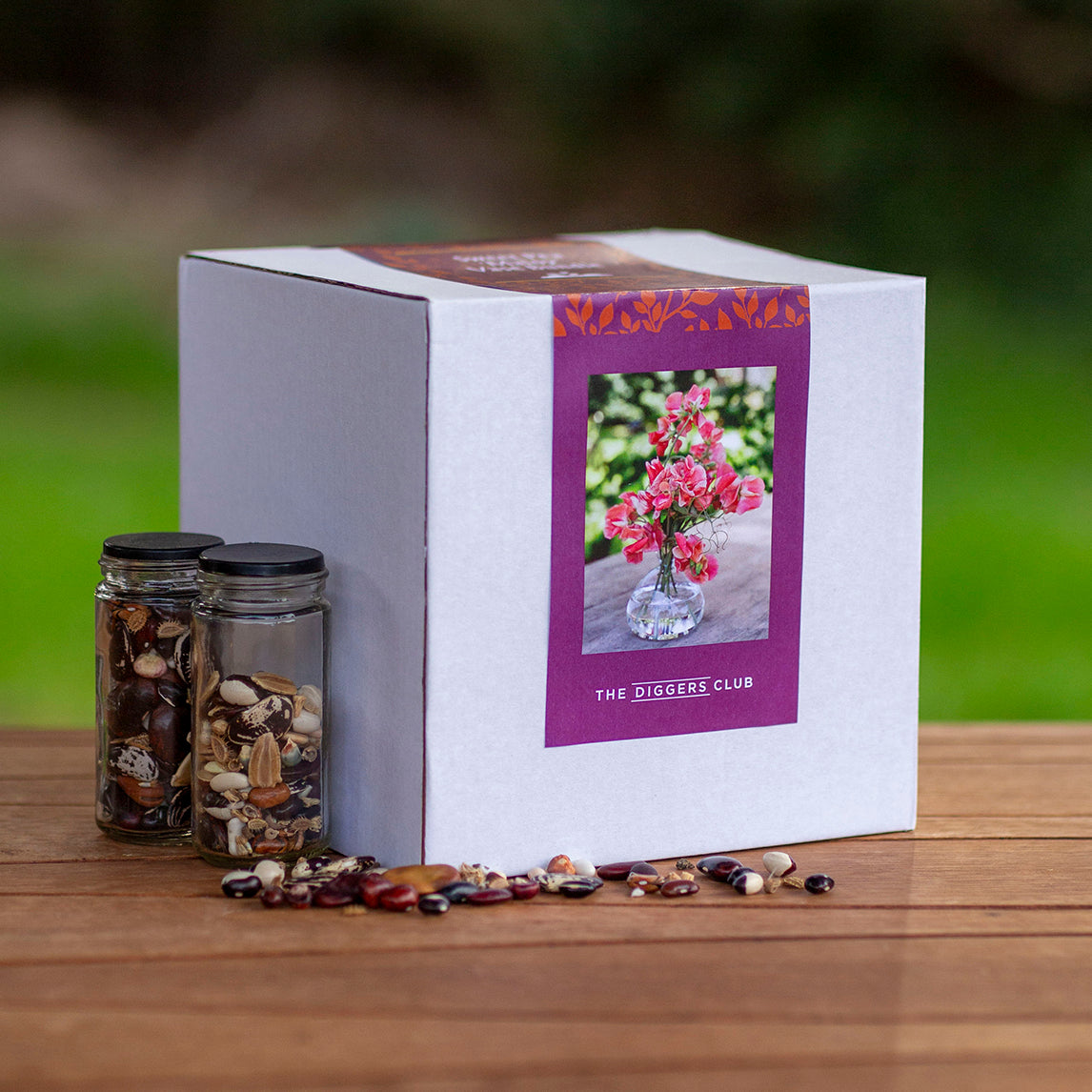 Sweet Pea ‘Maloy’ & Large Vase Gift Set