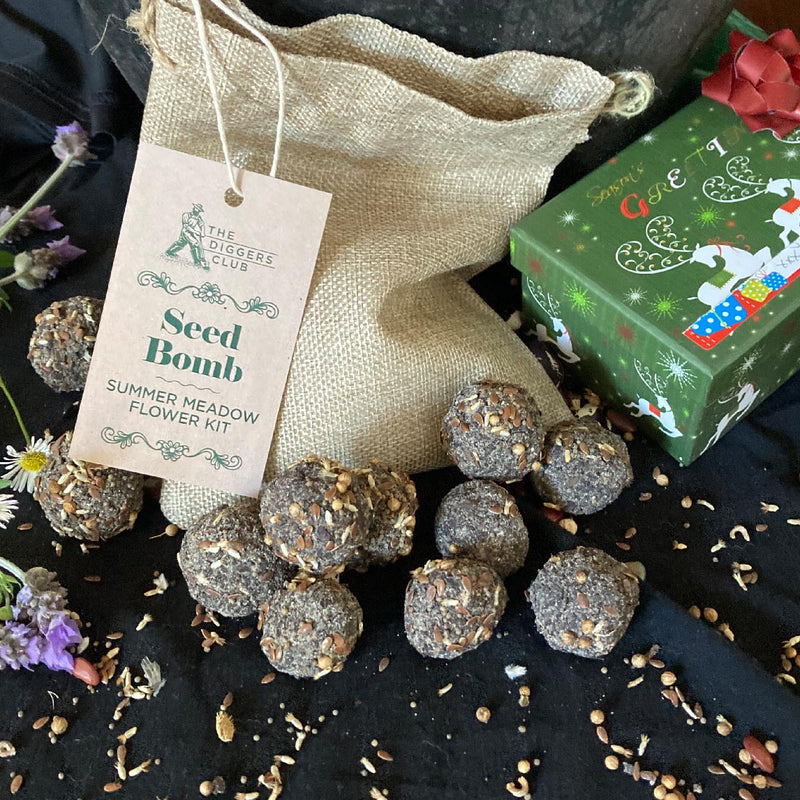 Seed Bomb Kit The Diggers Club