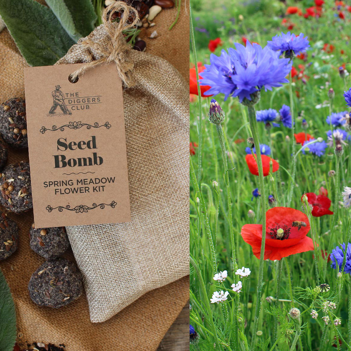 Seed Bomb Kit The Diggers Club