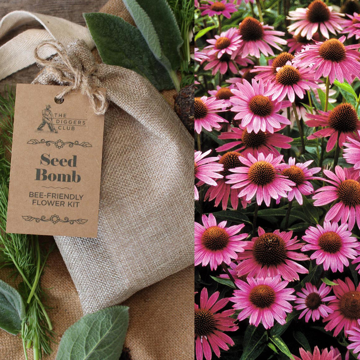 Seed Bomb Kit The Diggers Club