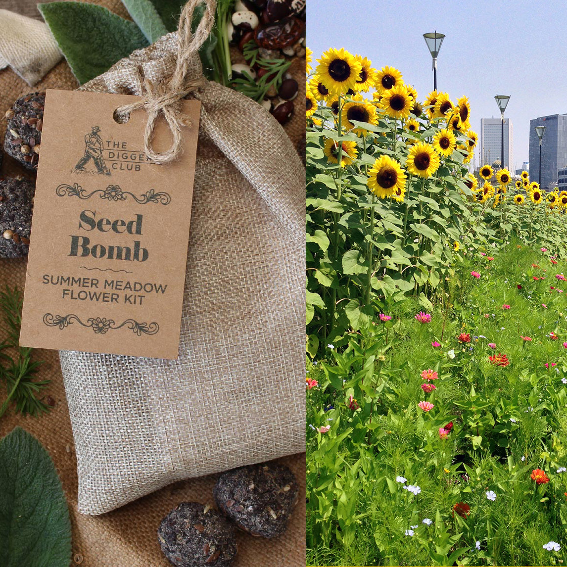 Seed Bomb Kit The Diggers Club