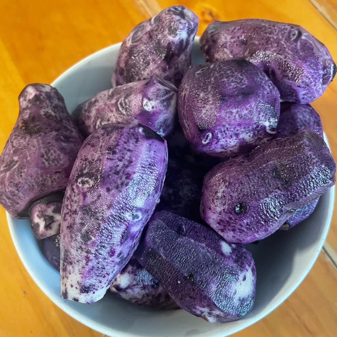 Seed Potato &#39;Purple Congo&#39;