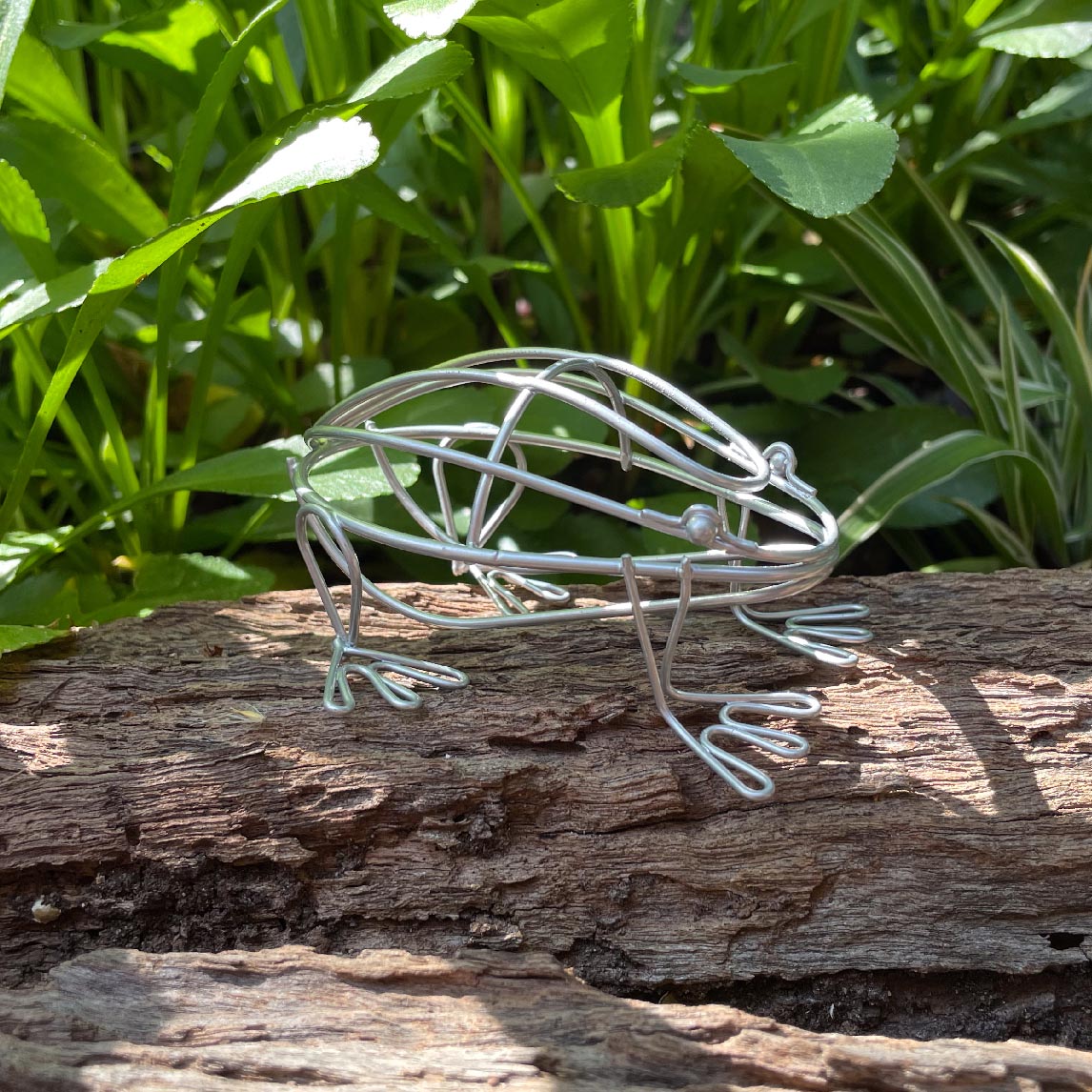 Silver Frog - length 8cm