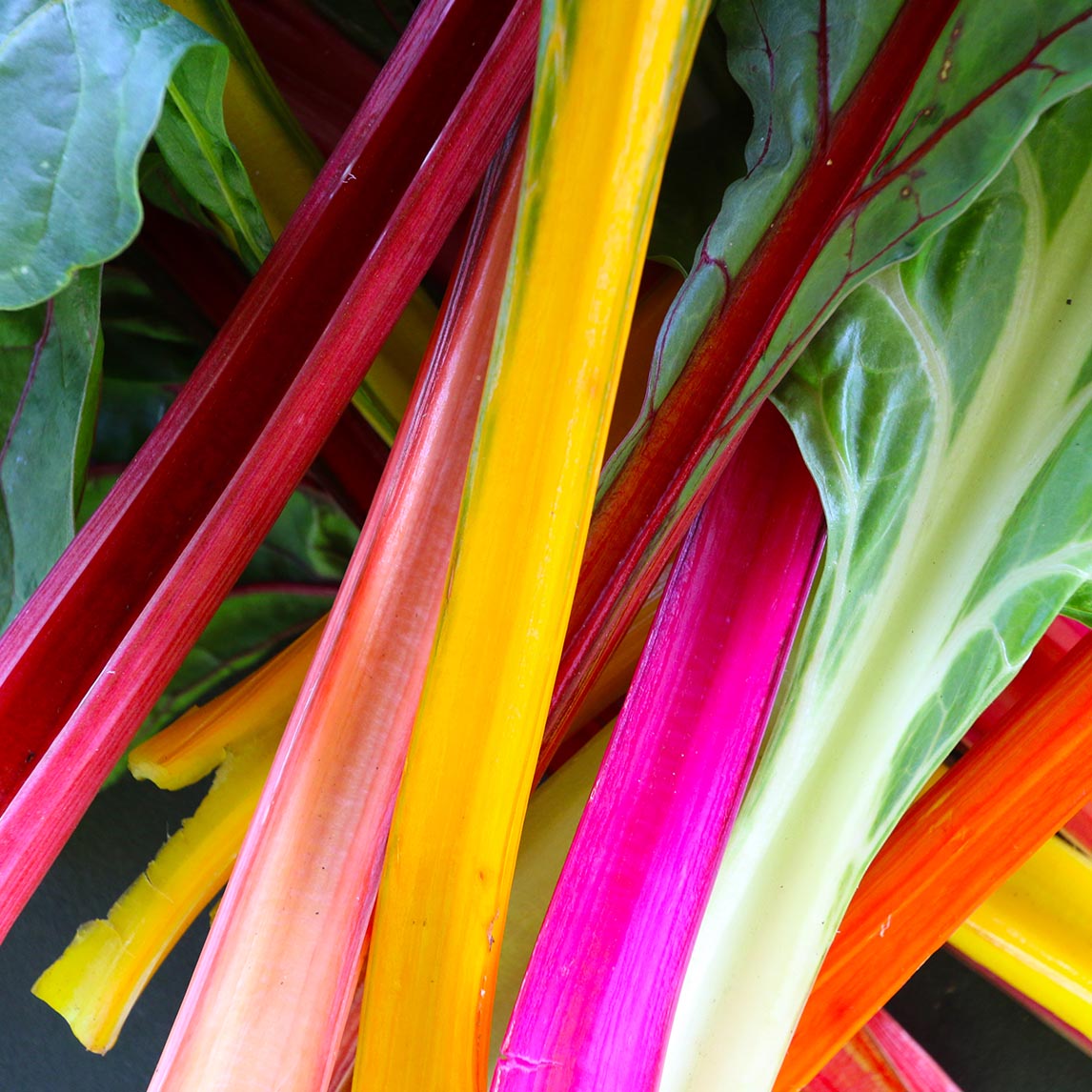 Silverbeet &#39;Five Colour Mix&#39; Organic