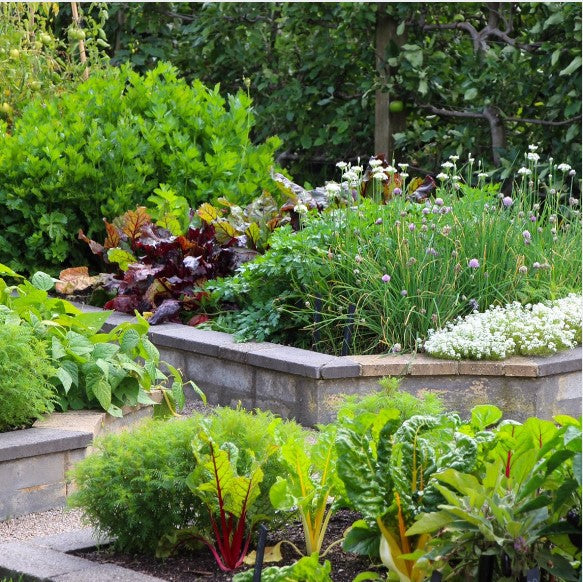 Gardening in Small Spaces Masterclass 2024
