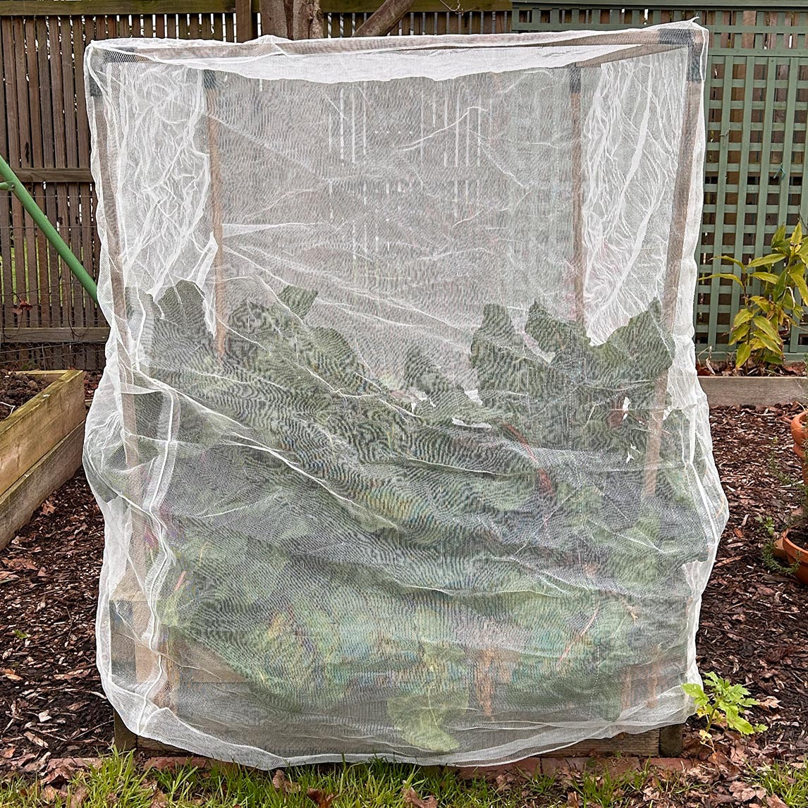 Square Formed Garden Nets