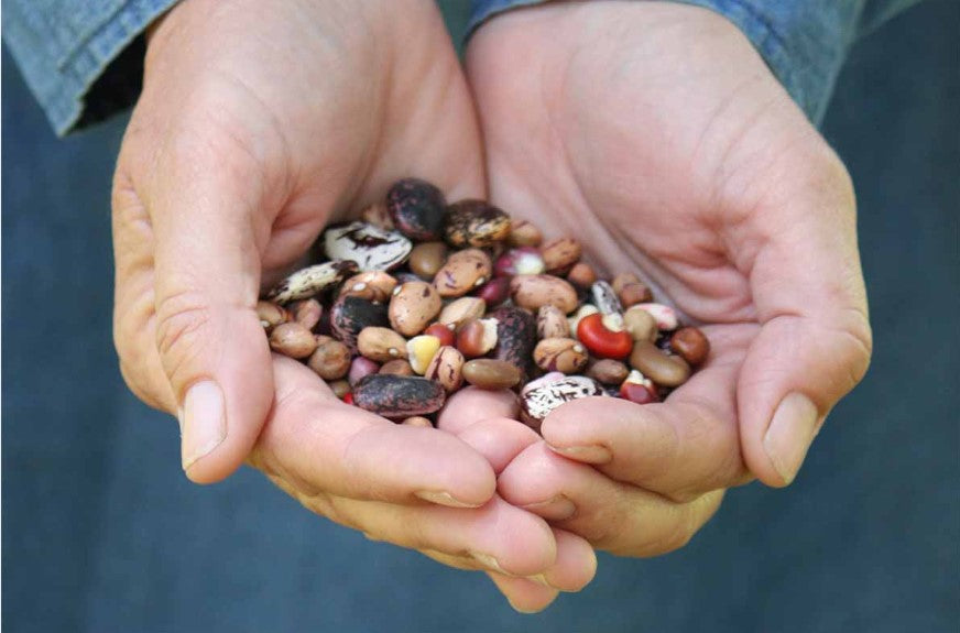 Successfully Growing with Seed Workshop