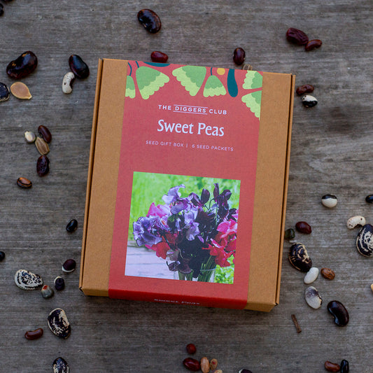 Sweet Pea Gift Box