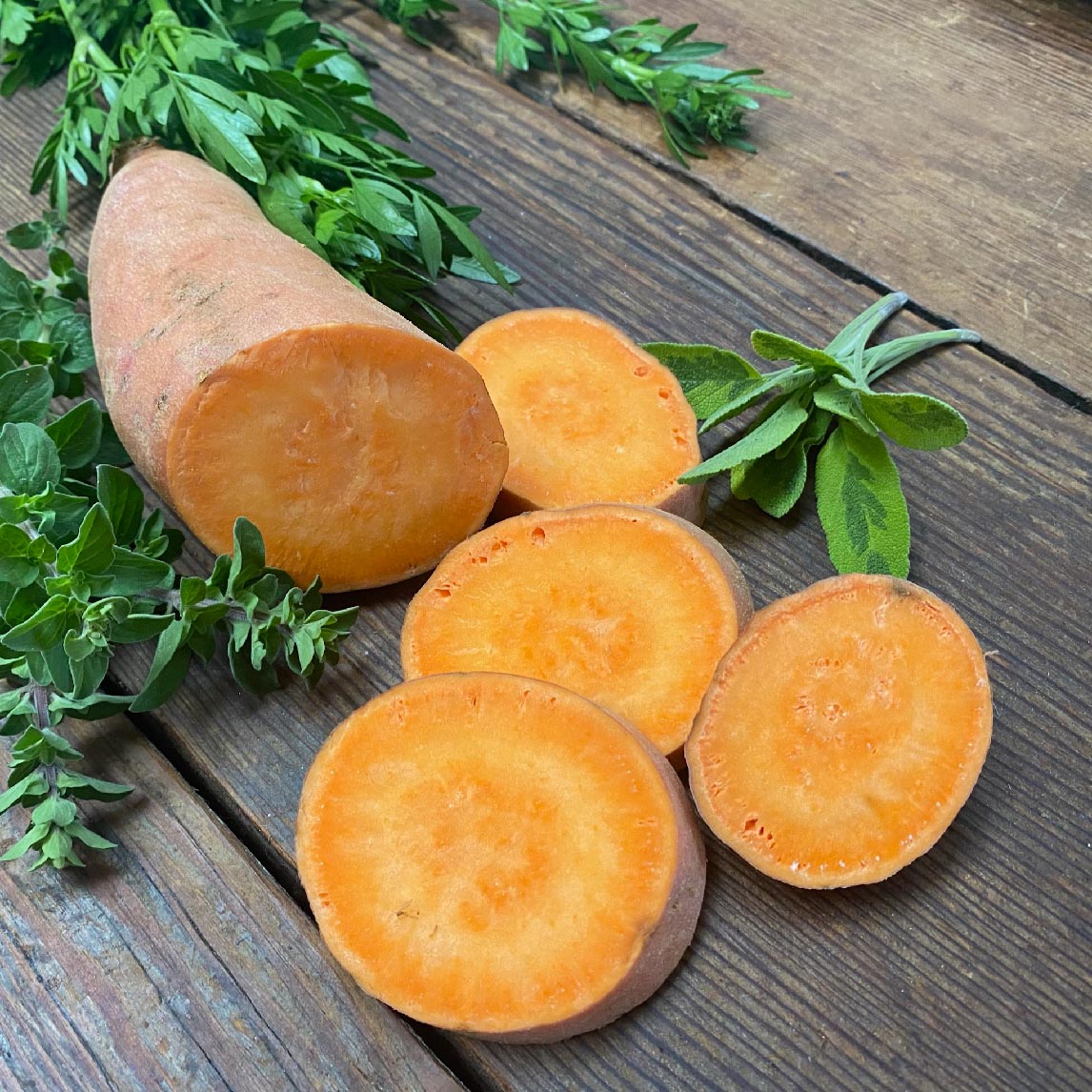 Sweet Potato Beauregard