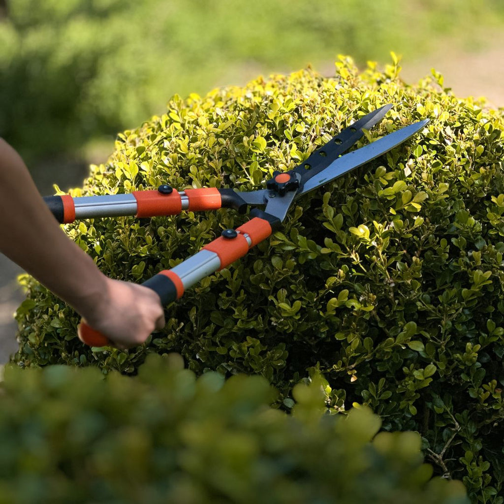 garden big scissors Telescopic Hedge Shears