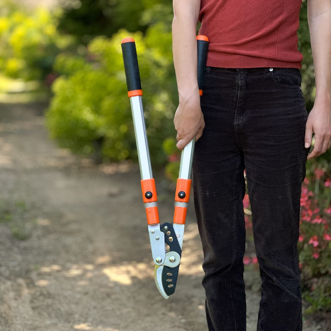 Telescopic Loppers