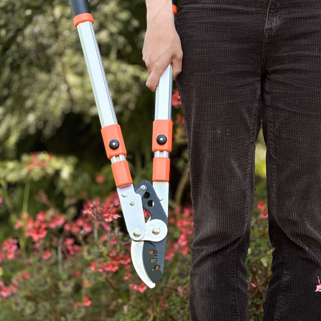 Telescopic Loppers - The Diggers Club