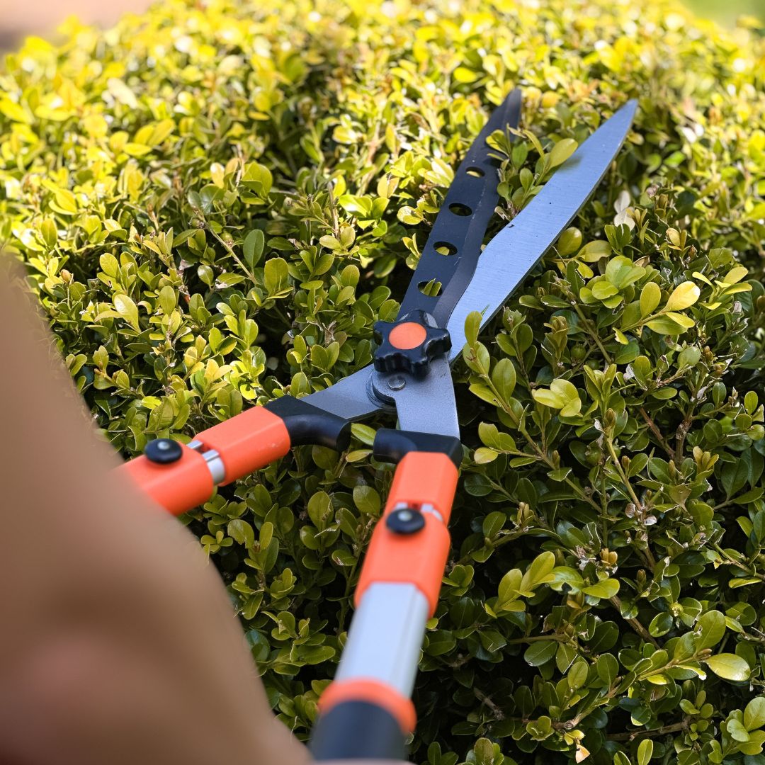 huge garden scissors Telescopic Hedge Shears
