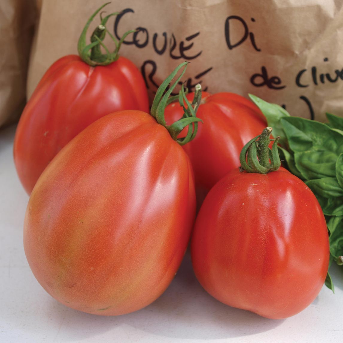 Tomato 'Coeur De Boeuf' (Organic)