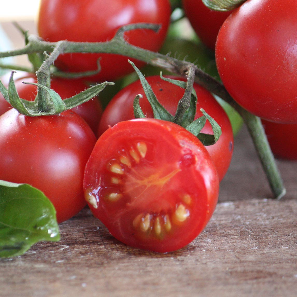Tomato 'Tommy Toe' (Organic)