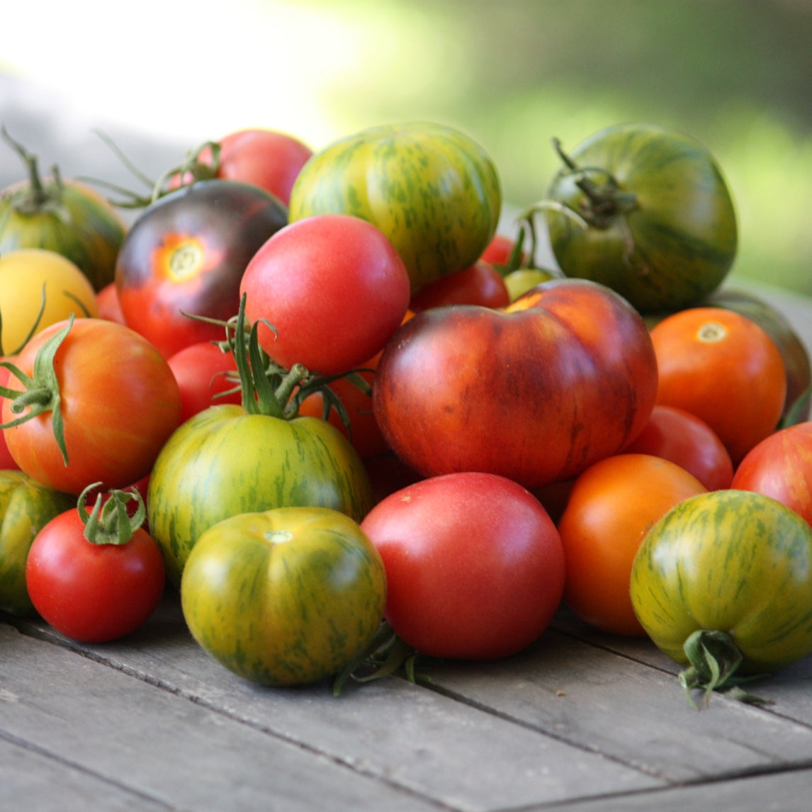 Tomato Festival Sunday