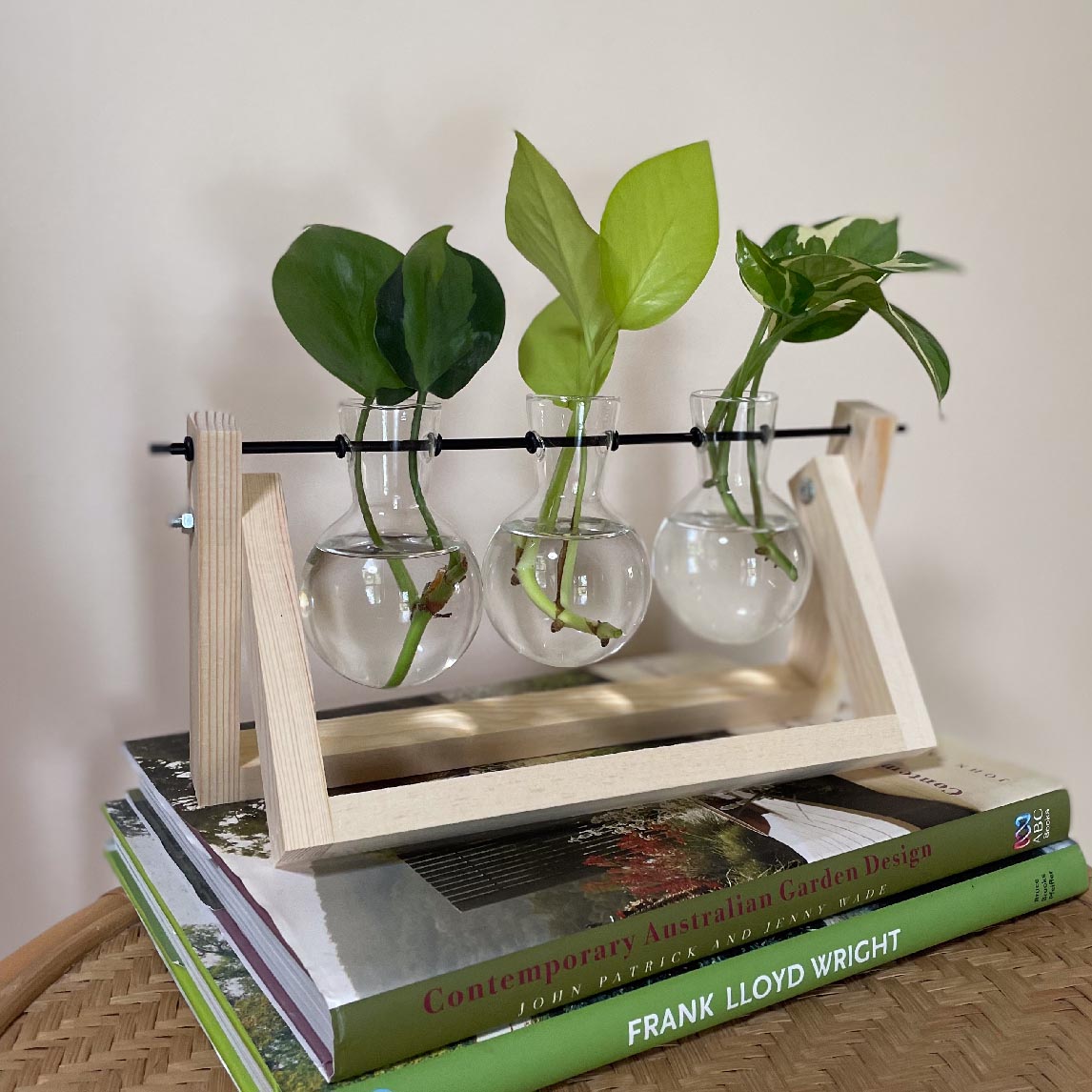 Plant Propagator - Three Station