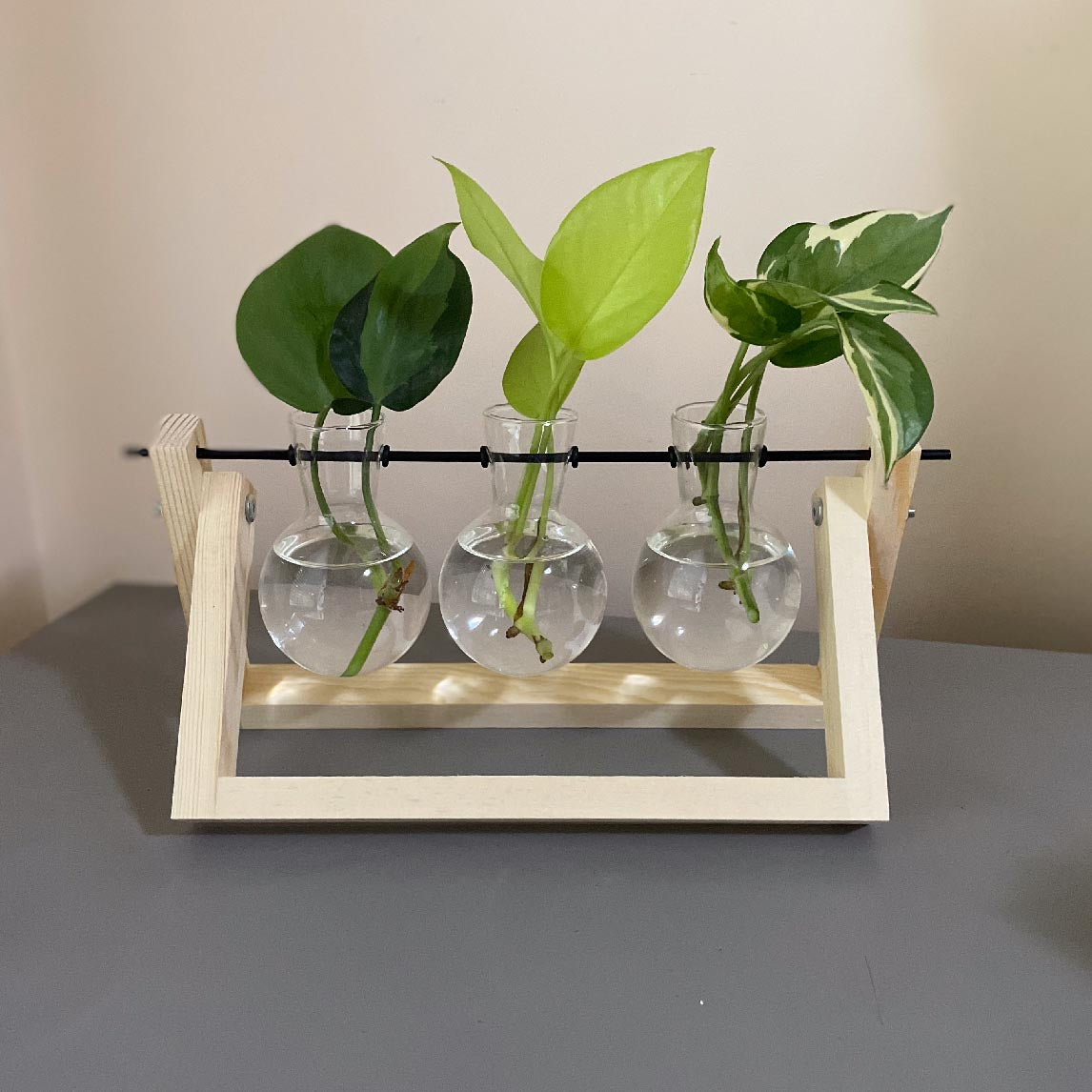 Plant Propagator - Three Station