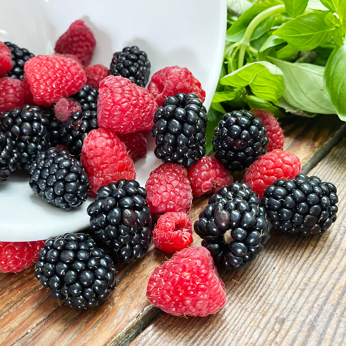 Backyard Cane Berry Collection