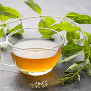 Lemon Verbena