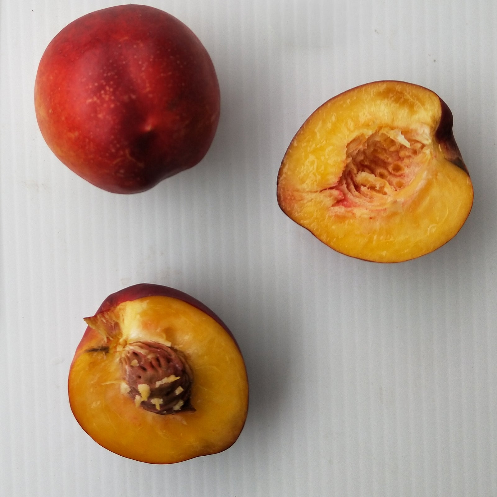 Nectarine 'Flavortop'