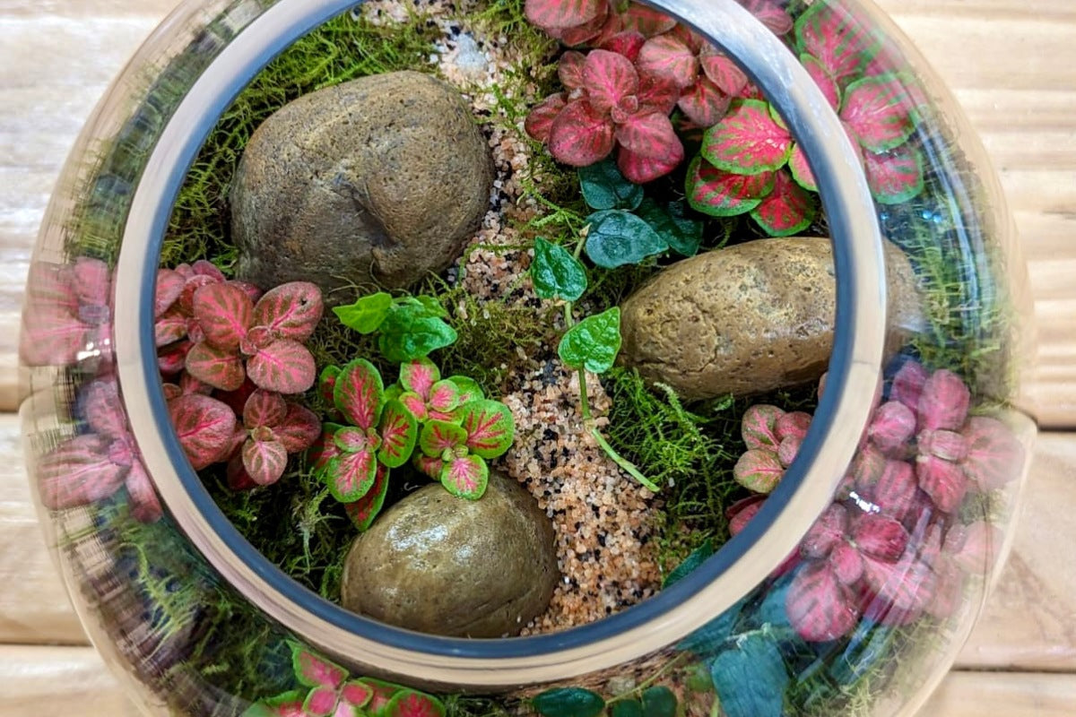Build your own mini-ecosystem Masterclass