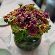 Zinnia Autumn Sky Mix