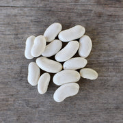 Bean 'Giant Of Stuttgart' (Organic)