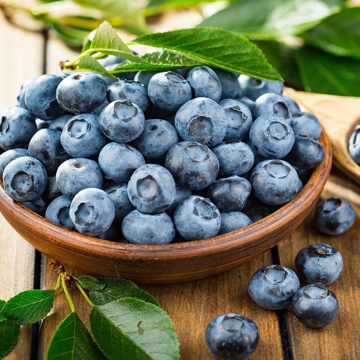 Blueberry 'Rabbiteye' Pollinating Combo