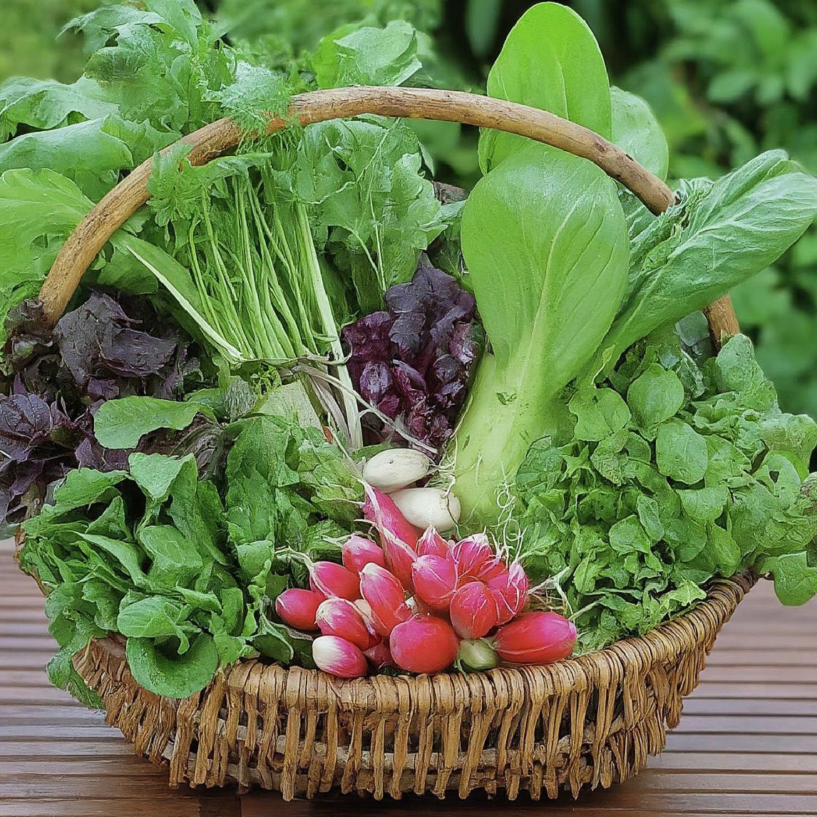 Chef's Winter Seed Collection