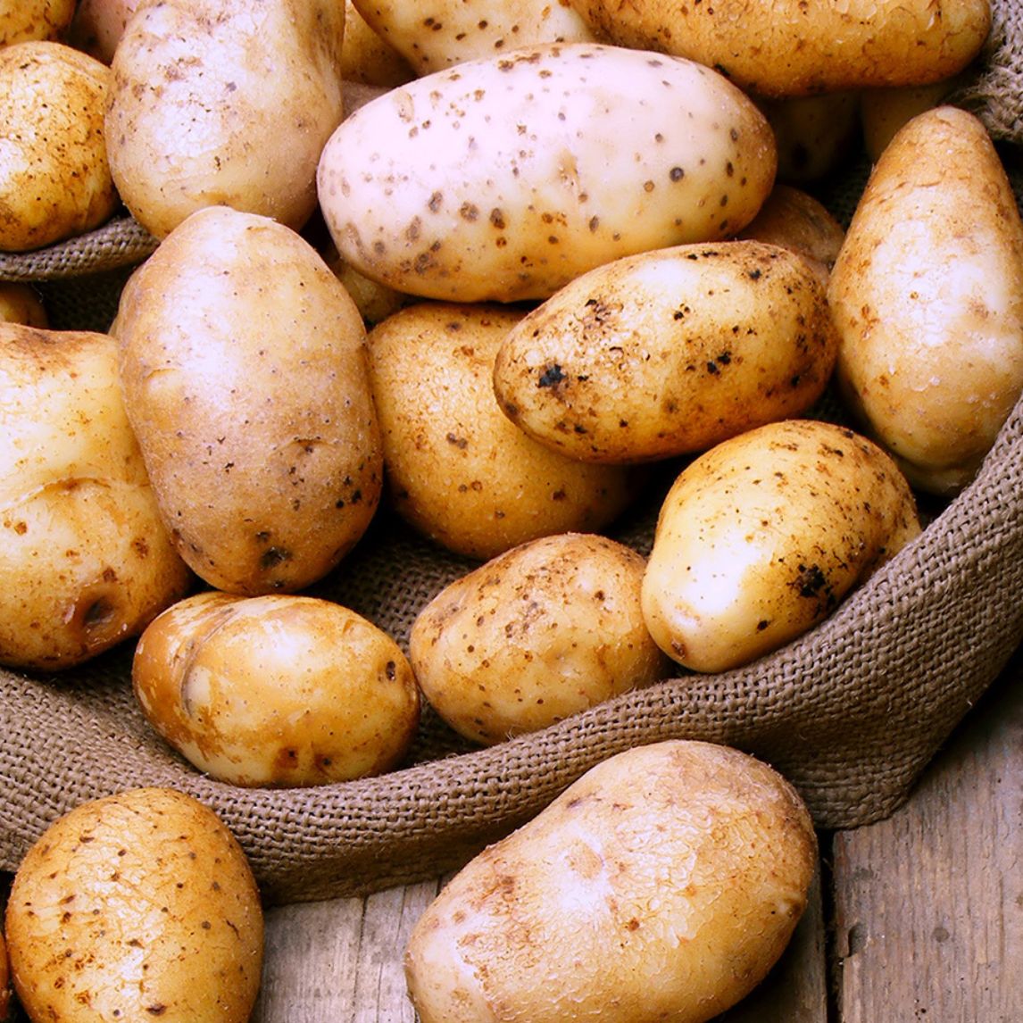 Chef's Choice Potato Collection